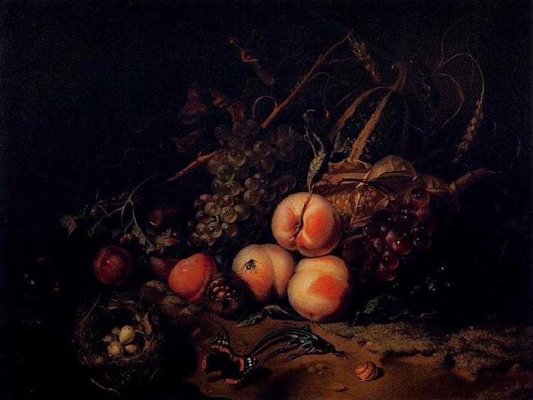 Rachel Ruysch Still-Life with Fruit and Insects oil painting image